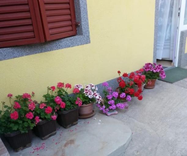 Apartments Toni With Free Parking Kaštela Εξωτερικό φωτογραφία