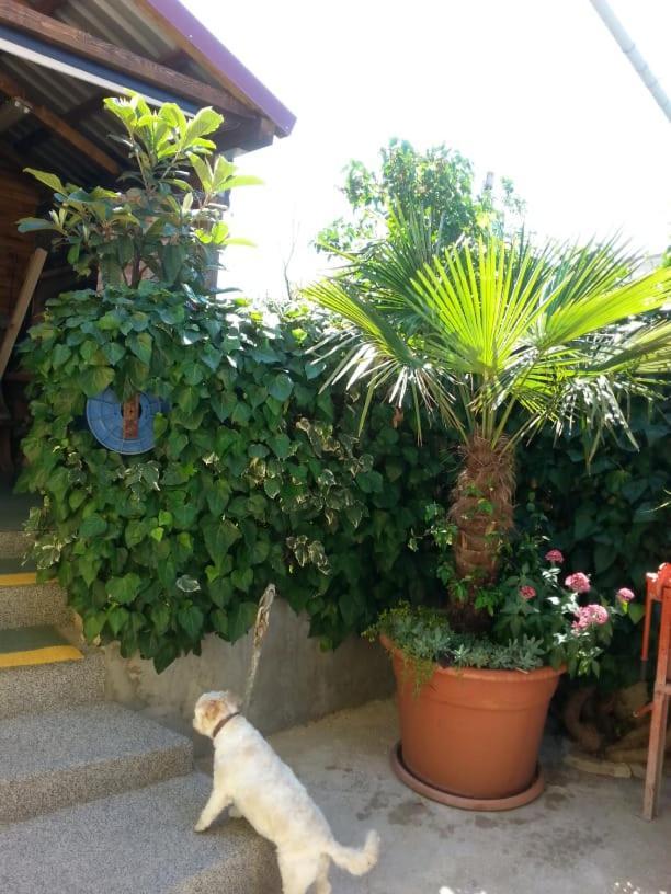 Apartments Toni With Free Parking Kaštela Εξωτερικό φωτογραφία
